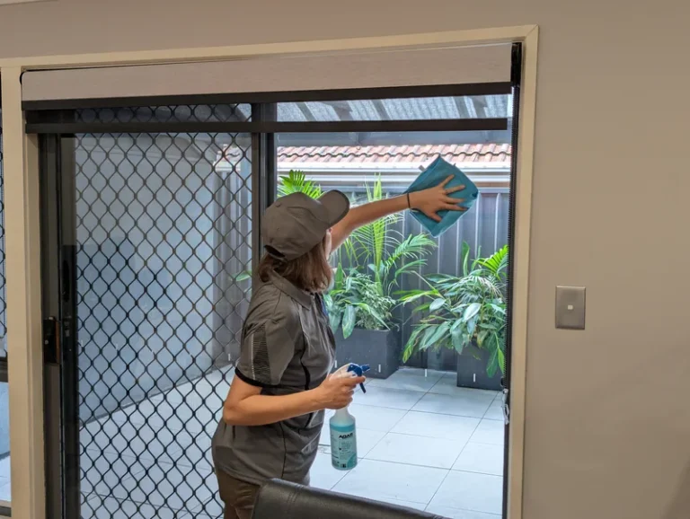 Hanna-Cleaning Window