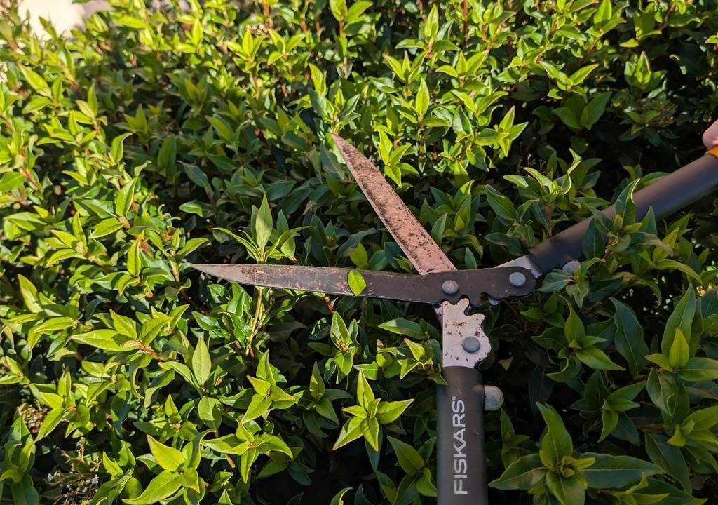 Hedge_Trimmer_Cutters