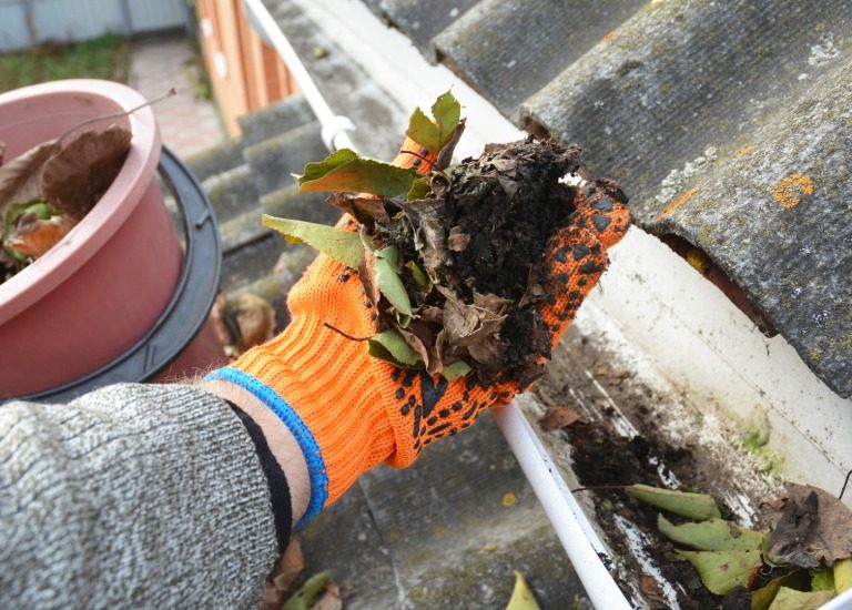 Gutter Cleaning