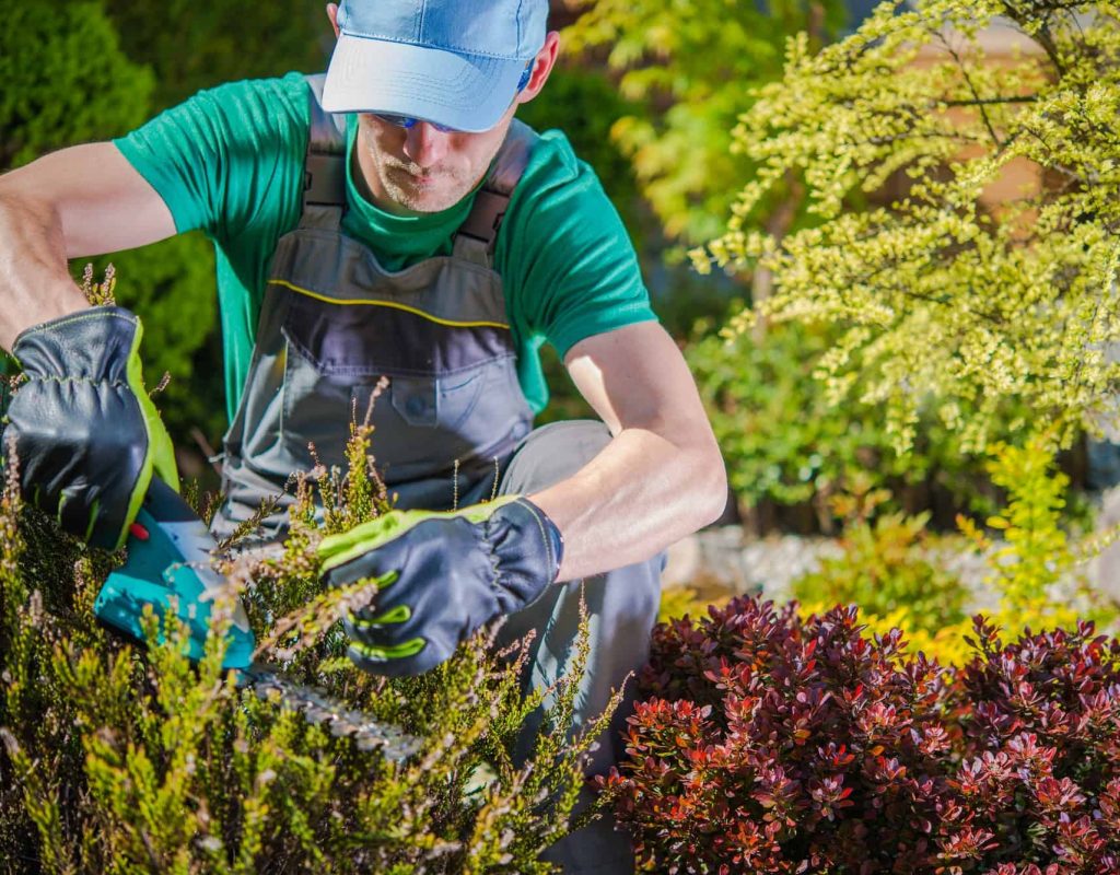 gardener-working-in-a-garden.jpg